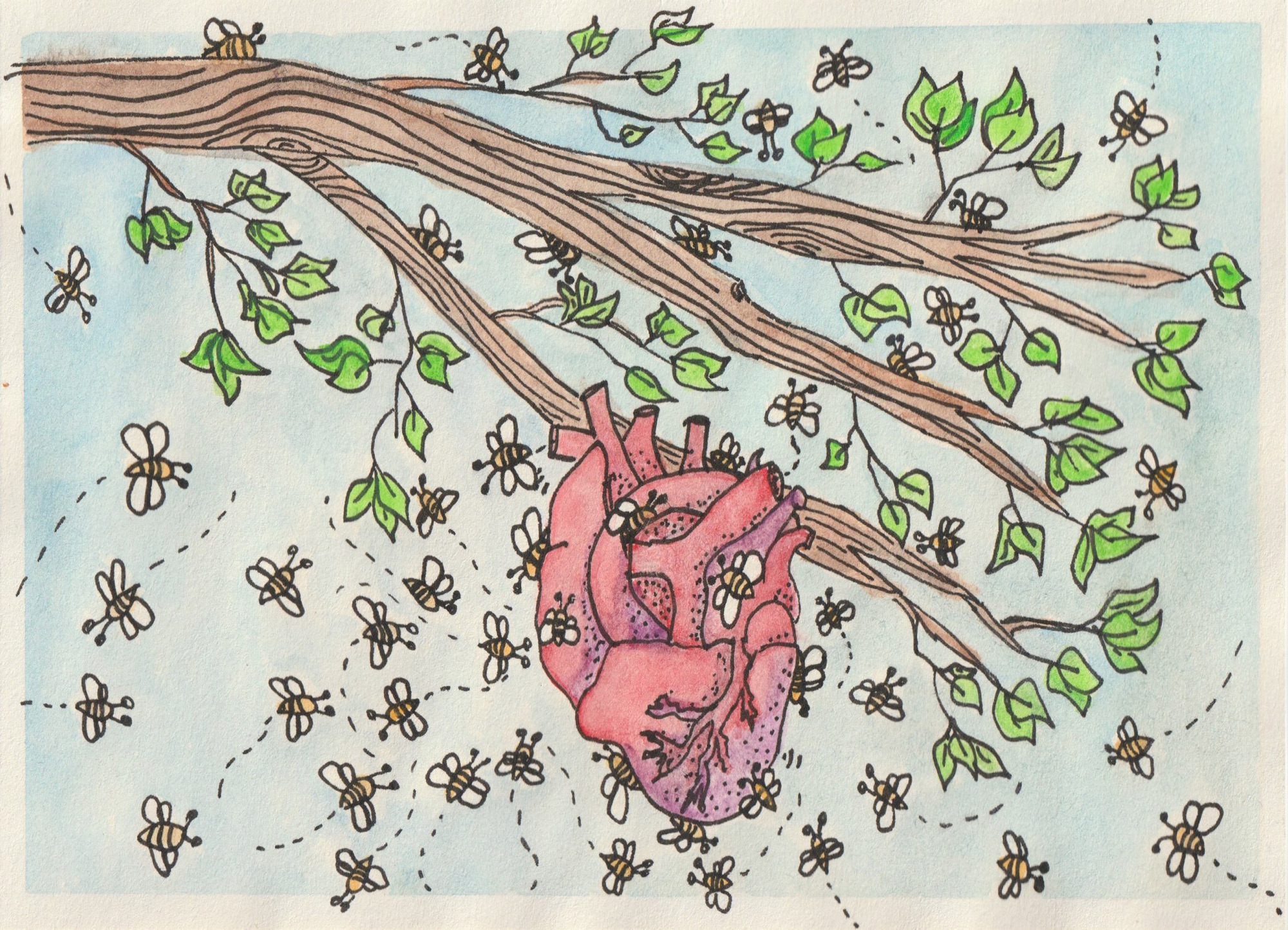 Honey Heart – Wild Like the Flowers